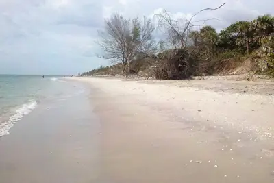 Lemon Bay nature preserve, bike along intracoastal Shamrock Park beaches closeby