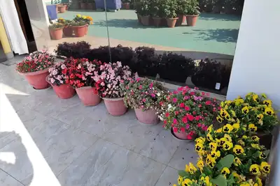 Fully Furnished 1bhk, Unit Sa2 for families - room, lobby, kitchen, bathroom