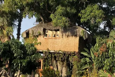 Image de Casa ÁRBOL situé sur Rancho Danza del Sol