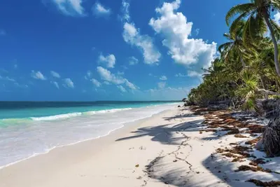 Image de Beachfront Tulum Villa