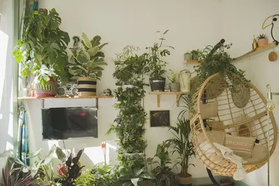 Image de La Kanopée (appartement écoresponsable)