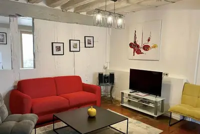 Image de Appartement le Damier très spacieux avec cour