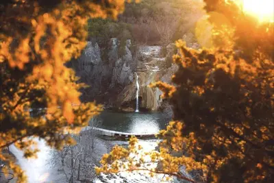 Image de Turner Falls  Arbuckle Lake  Pool Fire Pit  Game Room