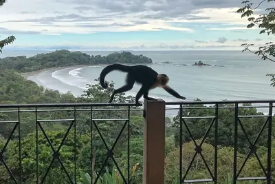 Image de Enclave Canto Del Mar 22 Large Infinity Pool/Wildlife/Privacy/Ocean View/Decks