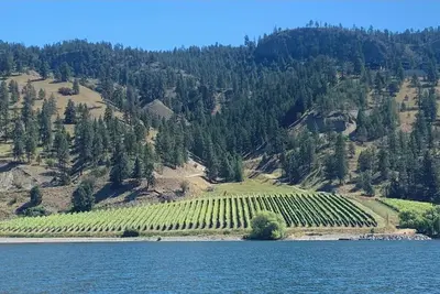 Image de Retraite Okanagan : détente et reconnection