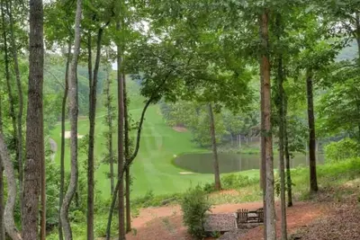 Image de Big Canoe's most tranquil Golf & Mountain View