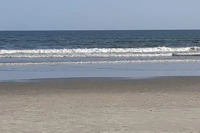 Image de Borders Coastal Carolina University 25 min from beach. Quiet neighborhood.
