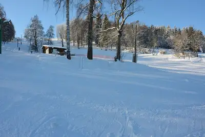 Image de Chalet à Malá Skála proche des pistes