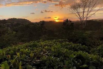 Image de Beautiful villa in the middle of paradise - quiet and private yet not too remote
