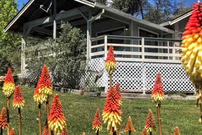 Image de Hummingbird House - Scenic Peaceful Foothills Getaway only minutes from downtown