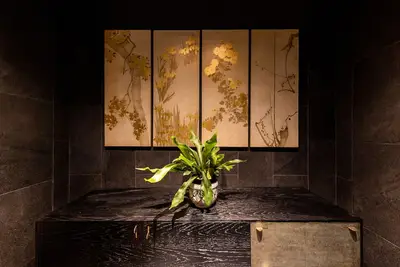 Image de Roka