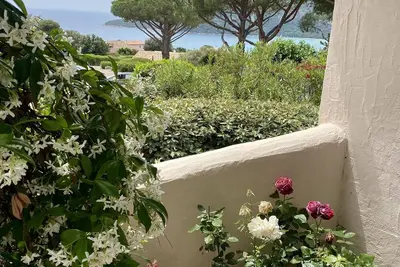 Image de Studio sea view- with terrace- Pool access-Hotel Alivi- Marina di santa giulia