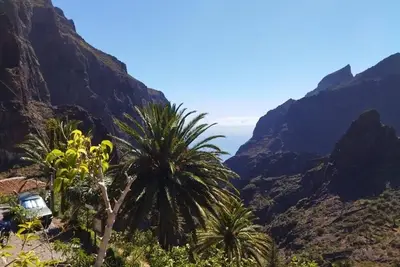 Image de Live Masca Casa Tarucho