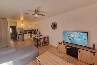 Image de Agréable Appartement T2 45m2 au cœur de la 1ere ville thermale Dax