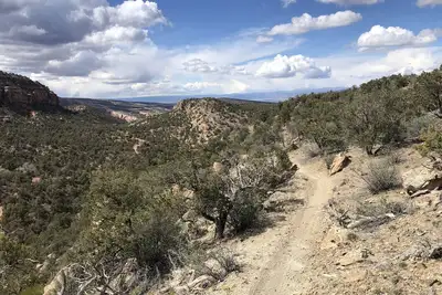 Image de Morning Coffee with the quail. Great views, excellent trails, and work friendly