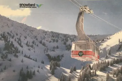 Image de Iron Blosam Week 50