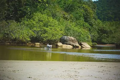 Image de Water Loft - Tribus Itamambuca House