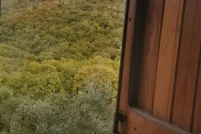 Image de Cosy House into the wild