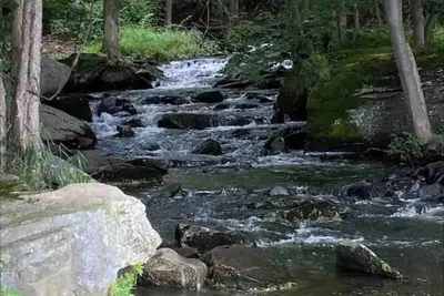 Image de Best Rental in Lake Community at The Hideout-Lake Ariel, Pa | Poconos