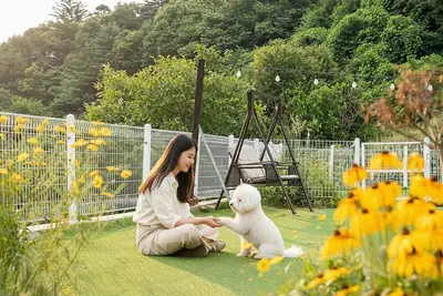 Image de Gapyeong Ddobagi Pet & Spa Glamping