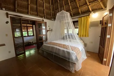 Image de Casa Selva, nestled in one of the few remaining pieces of jungle