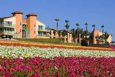 Image de Grand Pacific Palisades Resort - Luxury Villas - Many Dates Available!