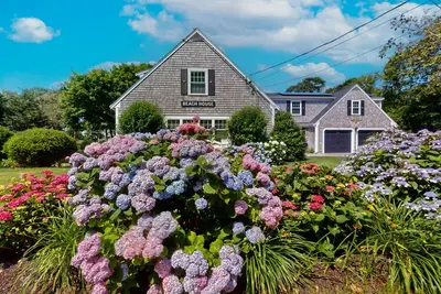 Image de Elegant estate with large deck and lush yard - walk to beach on Nantucket Sound