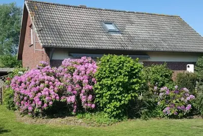 Image de Maison de vacances Jade pour 1 - 6 personnes avec 3 chambres à coucher - Maison de vacances