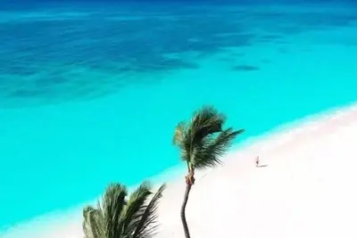 Image de Oceania☀️ Great for Families! Steps from the Beach, Pool and Grocery store…
