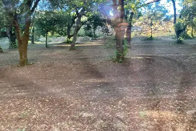 Image de Suite Royale avec vue piscine Ă 5m du centre ville