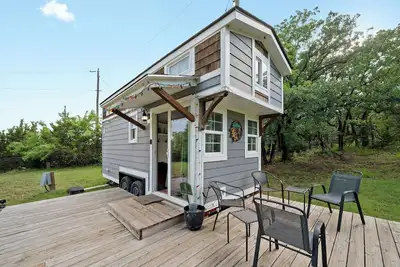 Image de 4 Tiny Town Modern Tiny Home Animals Fire Pit