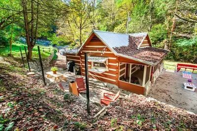 Image de Beary Relaxing Cabin - Rustic w/ Outdoor Patio!