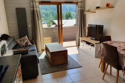 Image de Appartement T2 à 300m de la télécabine de la Panthiaz  4 pers 40m2