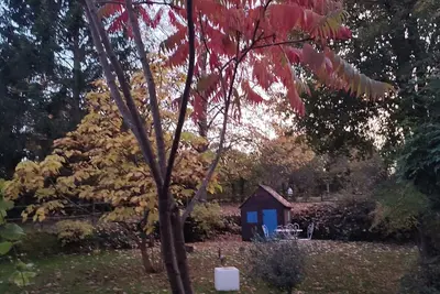 Image de Joli cottage pleine campagne