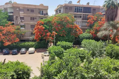 Image de Excellent furnished apartment ready to move in quite area at Maadi