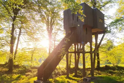Image de Cabane Dans Les Arbres (9m) 4/5 pers - Etape en Foret