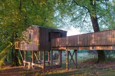 Image de Cabane Dans Les Arbres (4m) & Spa privatif 4/5 pers adaptée Pmr