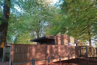 Image de Bungalow Terrasse avec Spa privatif (3pers) - Etape en Fôret