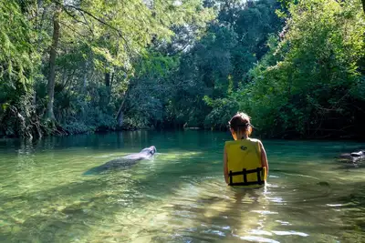 Image de Fantastic Waterfront Home: Your Weeki Wachee Escape! Kayaks Fire Pit Huge Yard