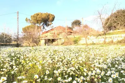 Image de Village House