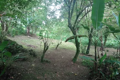 Image de Muris Light Sanctuary