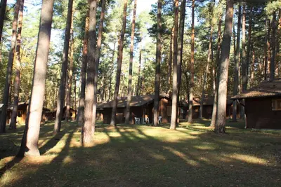 Image de Bungalow-Budget-Salle de bain privée séparée-Monteurs-Bungalow