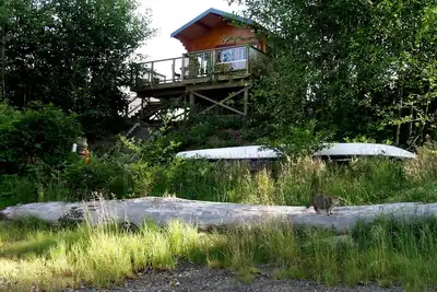 Image de Cozy, romantic waterfront cabin. Sleeps 2, pet-friendly, walk to all amenities.
