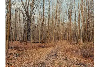 Image de Quaint 100 Acre Farmhouse On The Nation River