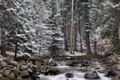 Image de Sanctuary Escape on River W/Hot Tub, Sauna & Piano
