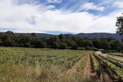Image de Mas Roumiguier - Ménerbes - Piscine chauffée