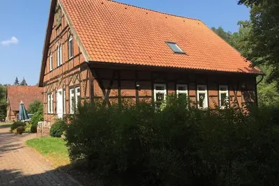 Image de Forest house in an absolutely secluded location in the middle of the southern heath