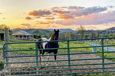 Image de Private and Cozy Cabin on Horse Farm 12 mi Dllywd