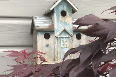 Image de Petite maison d’hôtes au milieu des pommiers