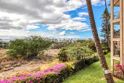 Image de Ocean-View Condo - Shared Pool & Hot Tub - Internet, Washer & Dryer, Water-View